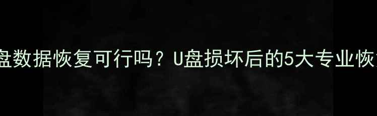 图片 廉价U盘数据恢复可行吗？U盘损坏后的5大专业恢复方案