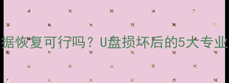 图片 廉价U盘数据恢复可行吗？U盘损坏后的5大专业恢复方案1