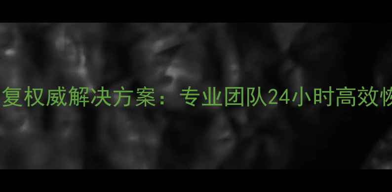 图片 延边服务器数据恢复权威解决方案：专业团队24小时高效恢复企业关键数据1