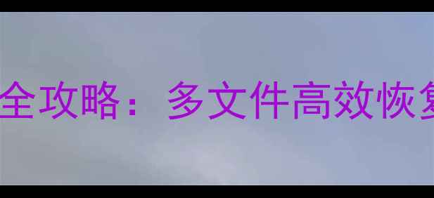图片 开票数据恢复全攻略：多文件高效恢复与注意事项1