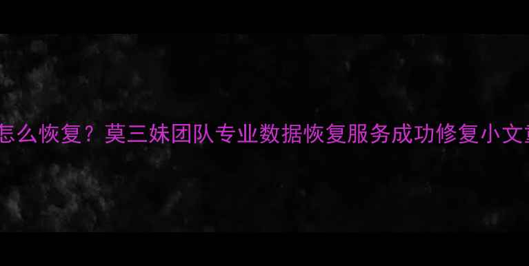 图片 录音文件损坏怎么恢复？莫三妹团队专业数据恢复服务成功修复小文重要录音记录1