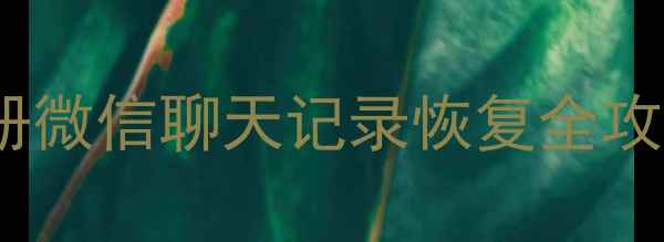 彻底删掉还能找回手机相册微信聊天记录恢复全攻略数据恢复教程收录高