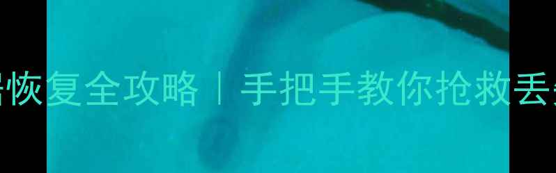 图片 彻底格式化后数据恢复全攻略｜手把手教你抢救丢失的硬盘文件💾✨