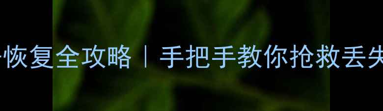 图片 彻底格式化后数据恢复全攻略｜手把手教你抢救丢失的硬盘文件💾✨2