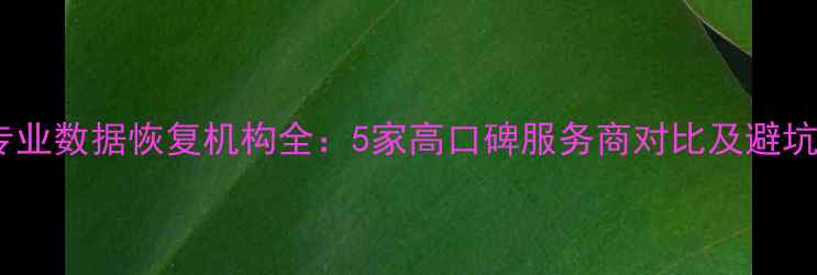 图片 徐州专业数据恢复机构全：5家高口碑服务商对比及避坑指南1