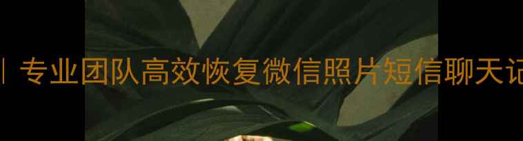 图片 徐州手机数据恢复服务｜专业团队高效恢复微信照片短信聊天记录（本地3小时上门）2