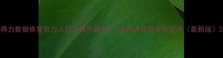 图片 得力数据恢复官方入口及操作指南：5步快速找回丢失文件（最新版）2