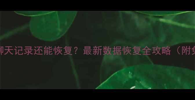 图片 微信删除聊天记录还能恢复？最新数据恢复全攻略（附免费工具）