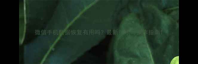 图片 微信手机数据恢复有用吗？最新技术与操作指南1