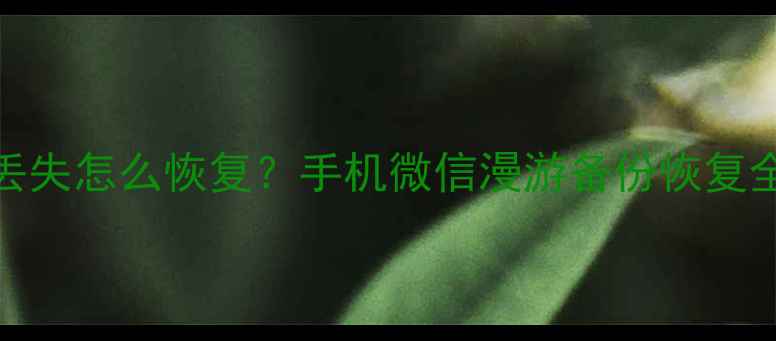 微信漫游数据丢失怎么恢复手机微信漫游备份恢复全教程最新