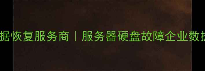 图片 德州专业企业数据恢复服务商｜服务器硬盘故障企业数据备份恢复方案1
