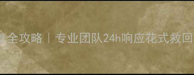 图片 房山云主机数据恢复全攻略｜专业团队24h响应花式救回丢失文件秘籍💾🔧1