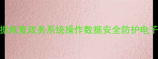 图片 房管局数据恢复政务系统操作数据安全防护电子档案处理