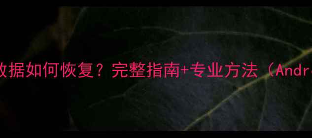 图片 手机SD卡损坏后数据如何恢复？完整指南+专业方法（AndroidiOS全攻略）1