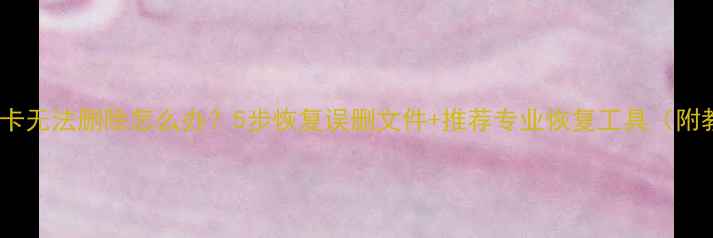 图片 手机SD卡无法删除怎么办？5步恢复误删文件+推荐专业恢复工具（附教程）2