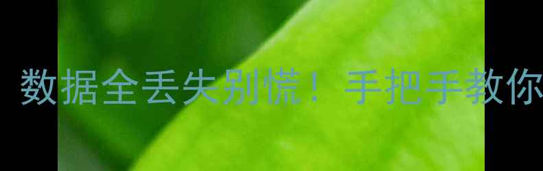 图片 手机SD卡突然变砖？数据全丢失别慌！手把手教你3步恢复格式化文件
