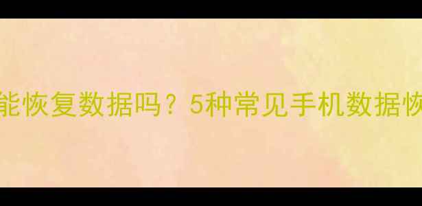 图片 手机SIM卡能恢复数据吗？5种常见手机数据恢复方法全2