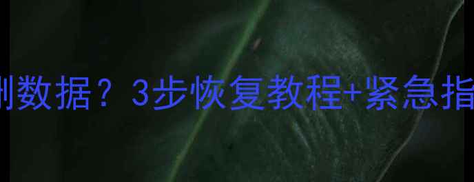 手机WPS表格误删数据3步恢复教程紧急指南附操作图