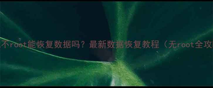 图片 手机不root能恢复数据吗？最新数据恢复教程（无root全攻略）