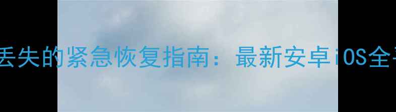 手机便签数据丢失的紧急恢复指南最新安卓iOS全平台解决方案