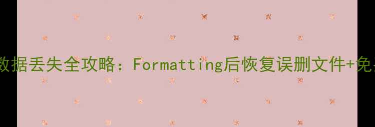 手机内存卡数据丢失全攻略Formatting后恢复误删文件免费工具教程