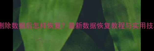 图片 手机删除数据后怎样恢复？最新数据恢复教程与实用技巧全2