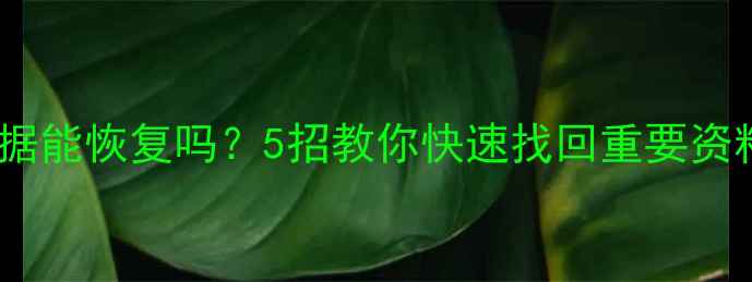 图片 手机备份失败后数据能恢复吗？5招教你快速找回重要资料（附详细教程）1