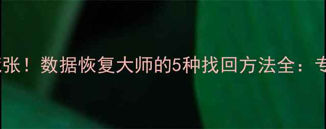 手机数据丢失别慌张数据恢复大师的5种找回方法全专业工具操作指南