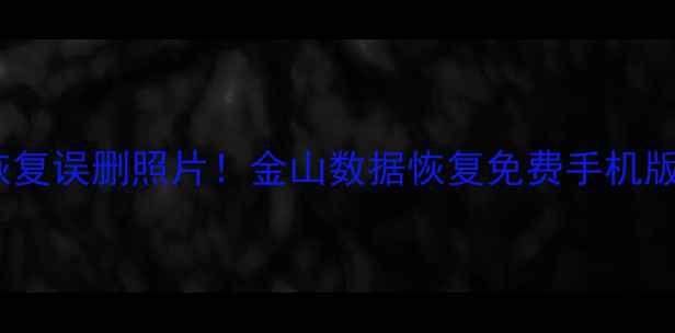 手机数据恢复5分钟恢复误删照片金山数据恢复免费手机版亲测有效附教程