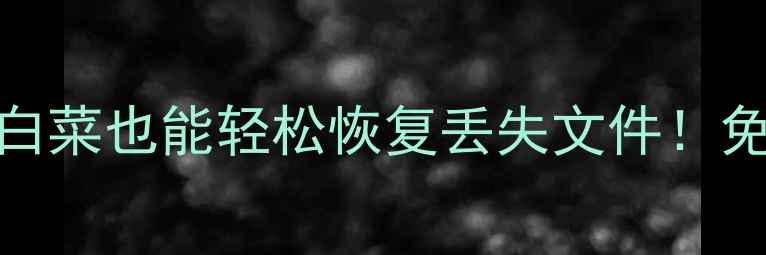 图片 手机数据恢复全攻略大白菜也能轻松恢复丢失文件！免费教程+避坑指南📱💾2