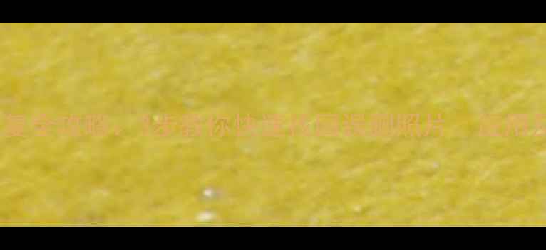 图片 手机数据恢复全攻略：3步教你快速找回误删照片、应用及聊天记录2