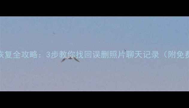 图片 手机数据恢复全攻略：3步教你找回误删照片聊天记录（附免费工具）✨