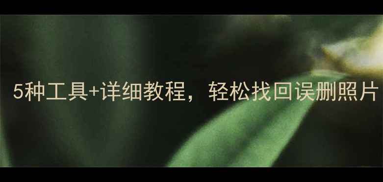 图片 手机数据恢复全攻略：5种工具+详细教程，轻松找回误删照片、聊天记录和联系人1