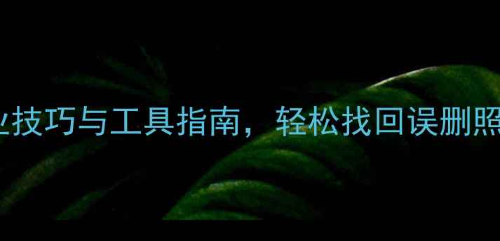 手机数据恢复全攻略专业技巧与工具指南轻松找回误删照片聊天记录等关键信息