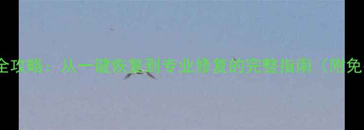 手机数据恢复全攻略从一键恢复到专业修复的完整指南附免费工具推荐