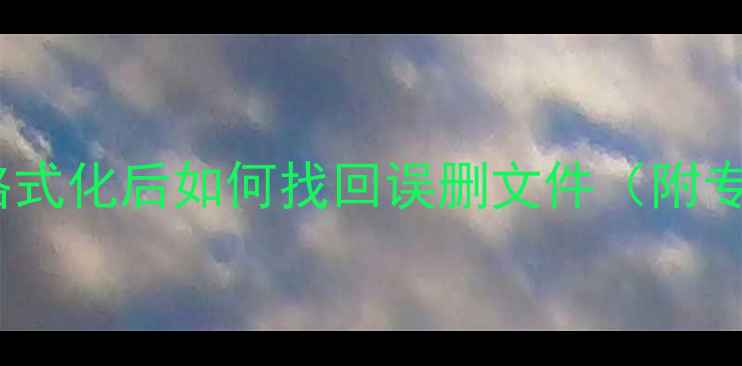 图片 手机数据恢复全攻略：格式化后如何找回误删文件（附专业软件与云备份方案）1