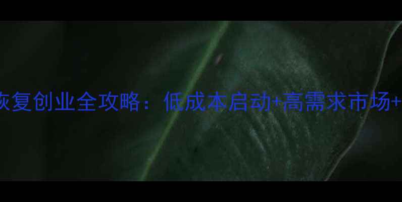 手机数据恢复创业全攻略低成本启动高需求市场盈利模式