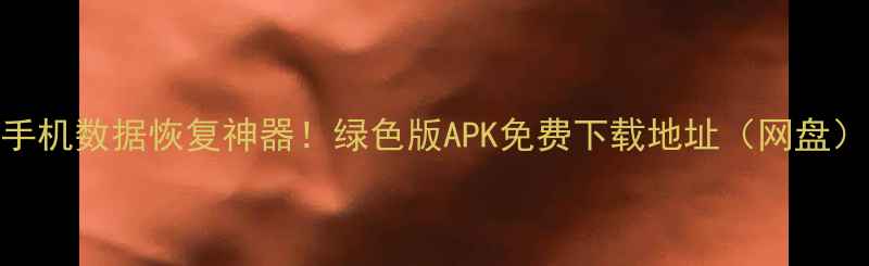 手机数据恢复神器绿色版APK免费下载地址网盘