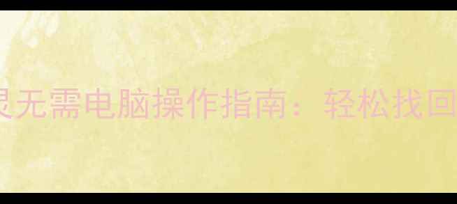 图片 手机数据恢复精灵无需电脑操作指南：轻松找回丢失的珍贵文件2