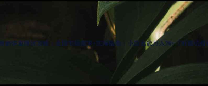 图片 手机数据恢复赚钱攻略｜全国市场需求+实操指南｜小白也能月入2W+（附避坑指南）2