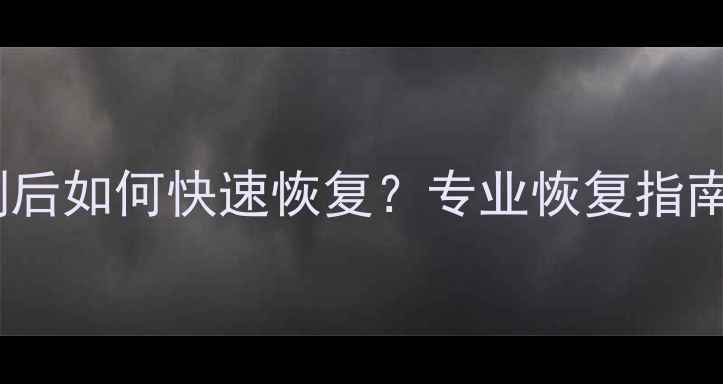 手机数据误删后如何快速恢复专业恢复指南与操作教程