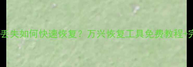 图片 手机文件丢失如何快速恢复？万兴恢复工具免费教程+完整指南1