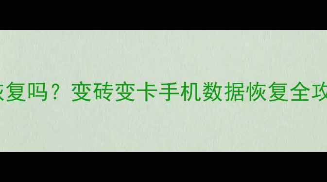 图片 手机格式化后数据还能恢复吗？变砖变卡手机数据恢复全攻略（附专业操作指南）1