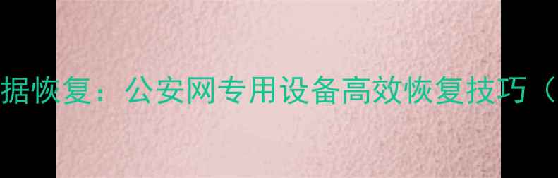 手机电脑双设备数据恢复公安网专用设备高效恢复技巧附详细操作指南