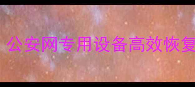 图片 手机电脑双设备数据恢复：公安网专用设备高效恢复技巧（附详细操作指南）1