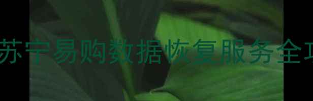 图片 手机电脑文件丢失别慌！苏宁易购数据恢复服务全攻略（附免费咨询通道）1