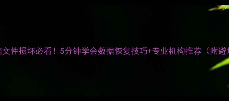 手机电脑文件损坏必看5分钟学会数据恢复技巧专业机构推荐附避坑指南