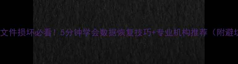 图片 手机电脑文件损坏必看！5分钟学会数据恢复技巧+专业机构推荐（附避坑指南）1