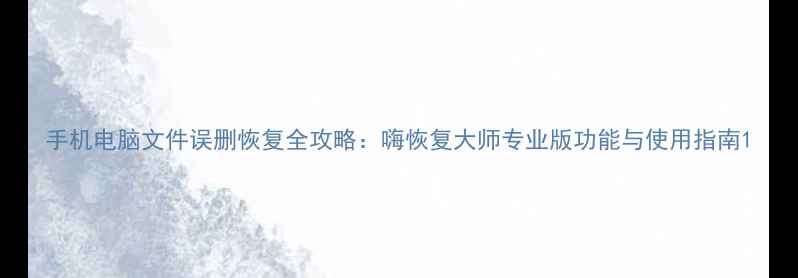 图片 手机电脑文件误删恢复全攻略：嗨恢复大师专业版功能与使用指南1