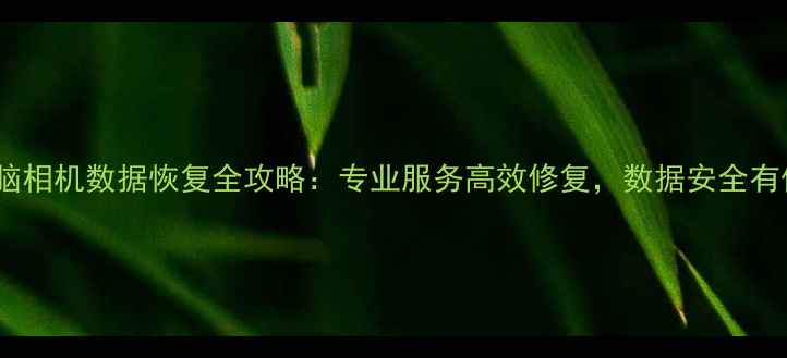 图片 手机电脑相机数据恢复全攻略：专业服务高效修复，数据安全有保障！1
